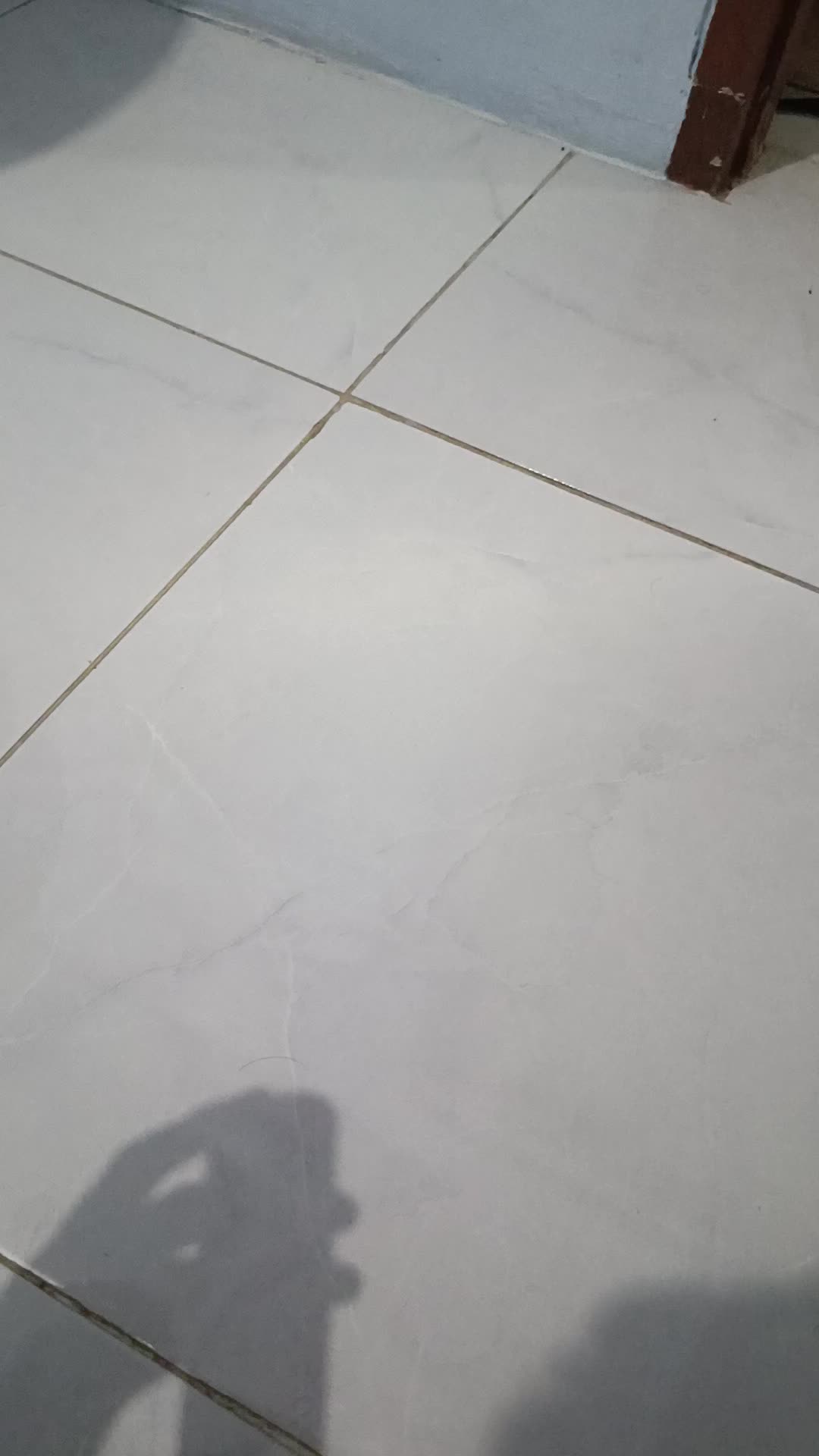 review image 12