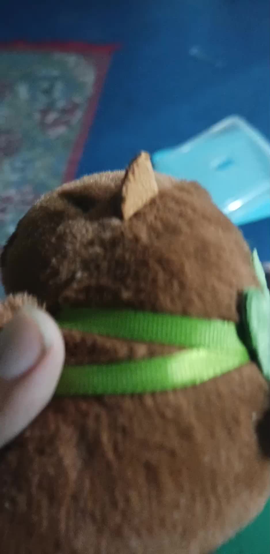 review image 4