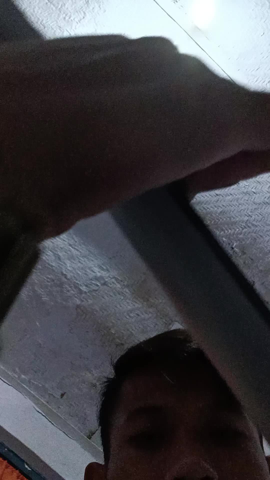 review image 6