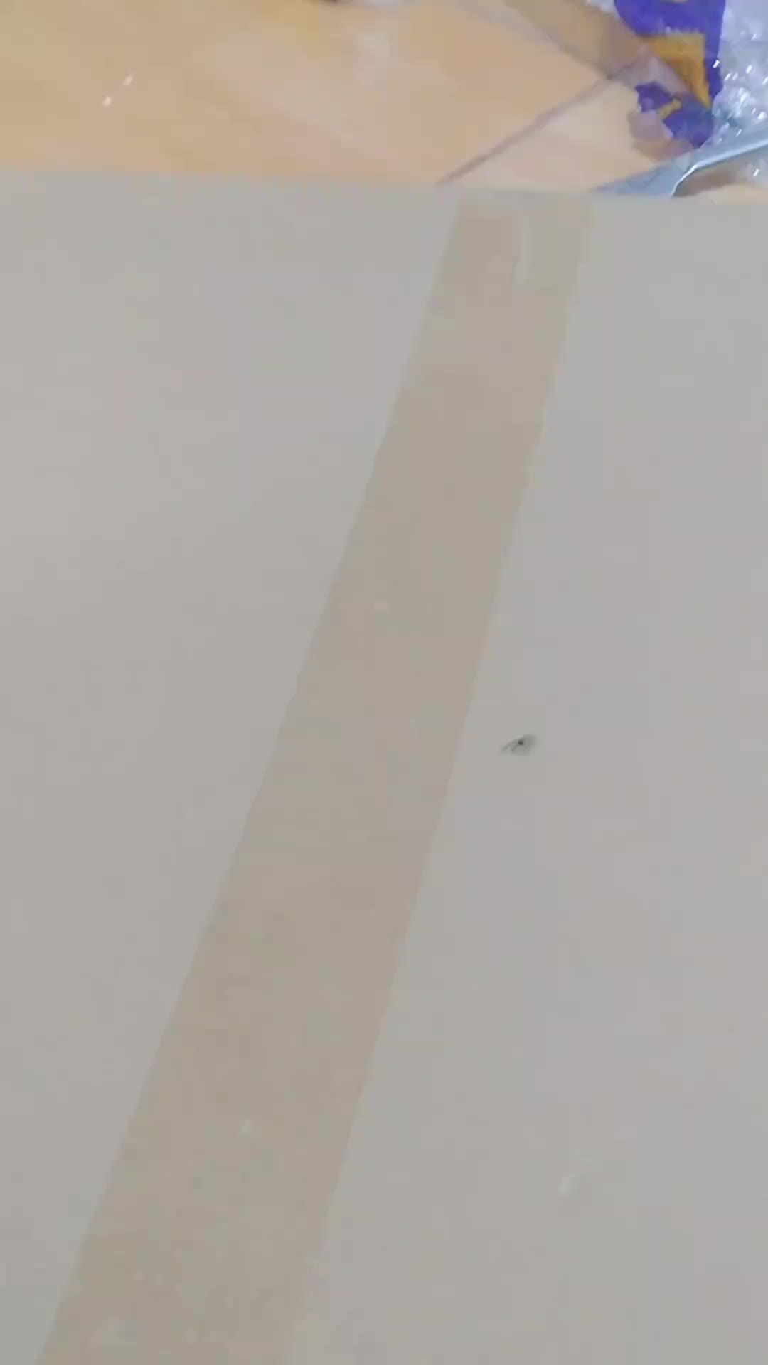 review image 6