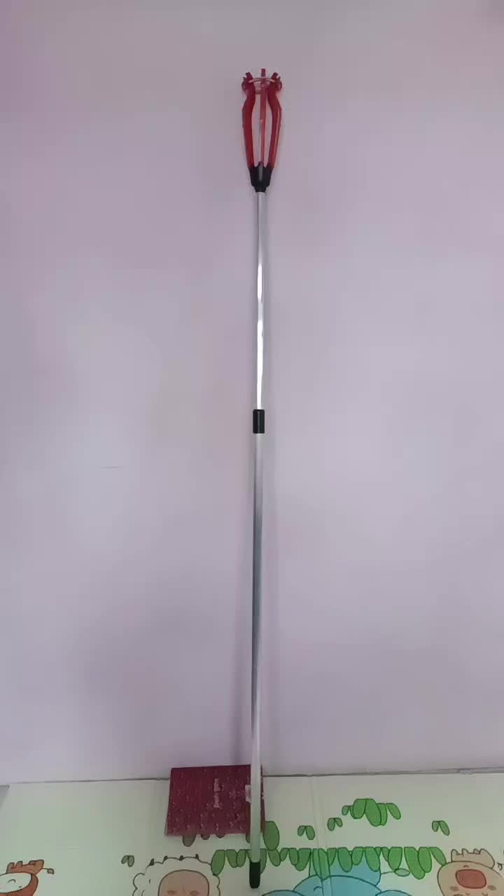 review image 5