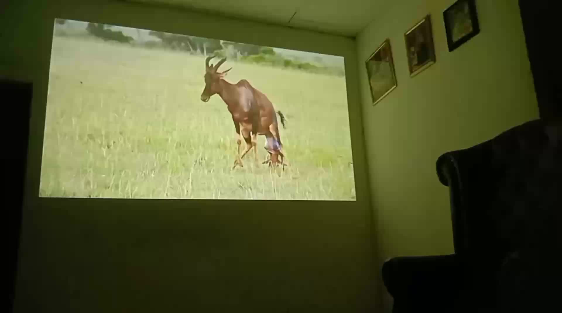 review image 8