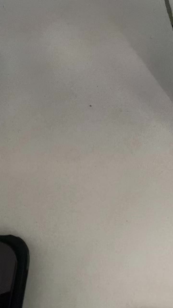 review image 10