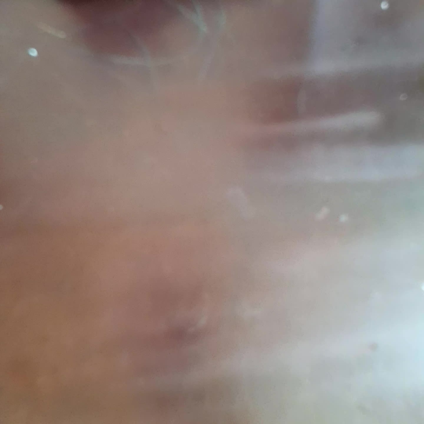 review image 7