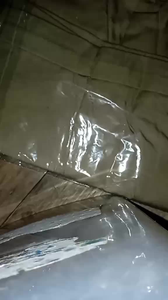review image 7