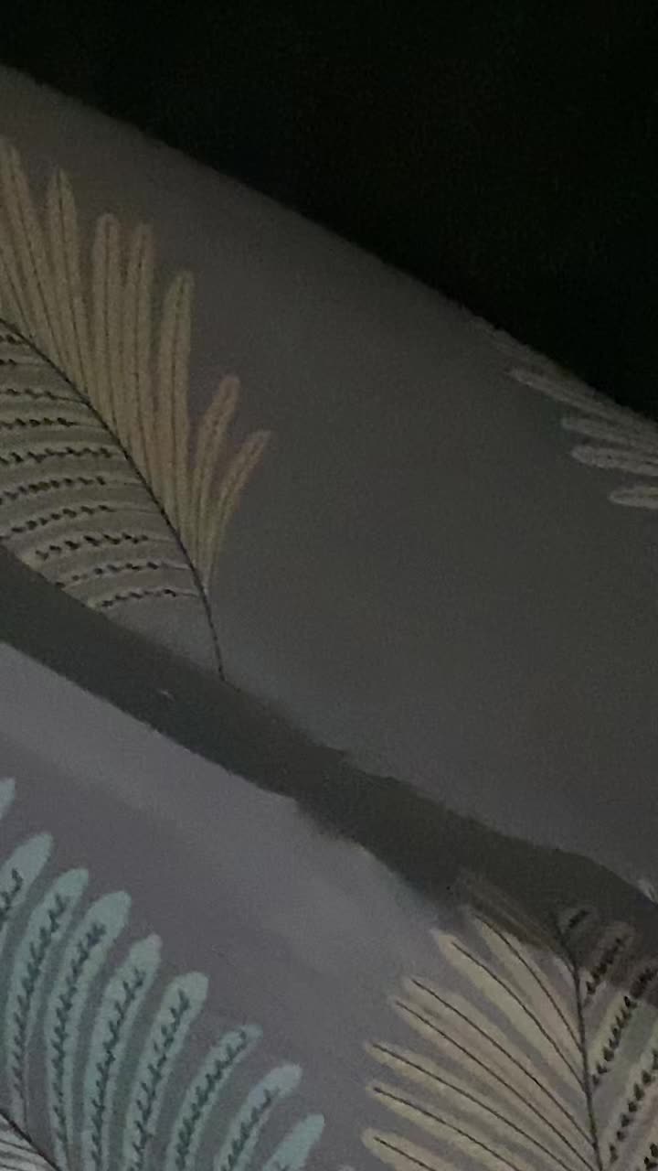 review image 4