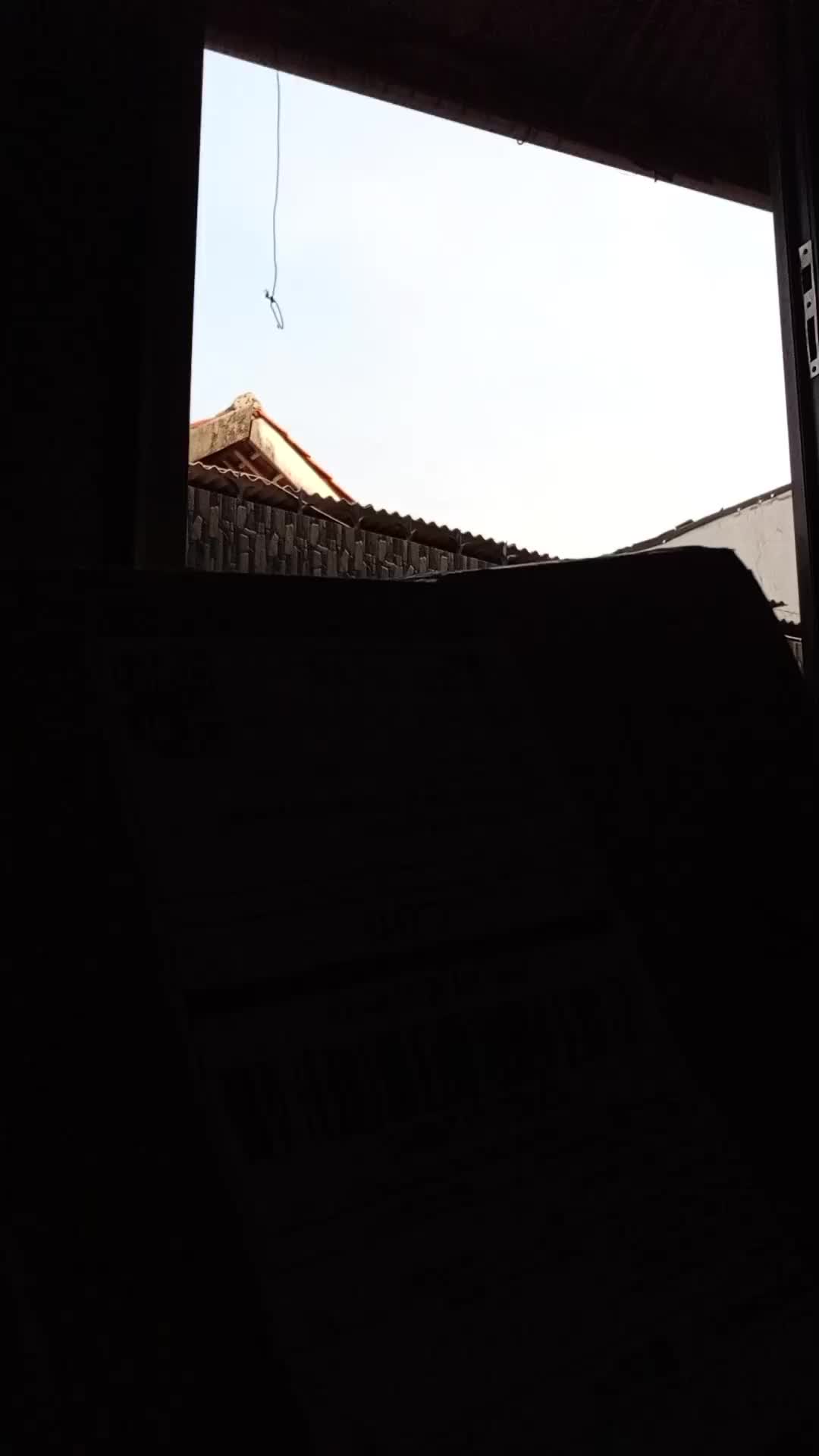 review image 2