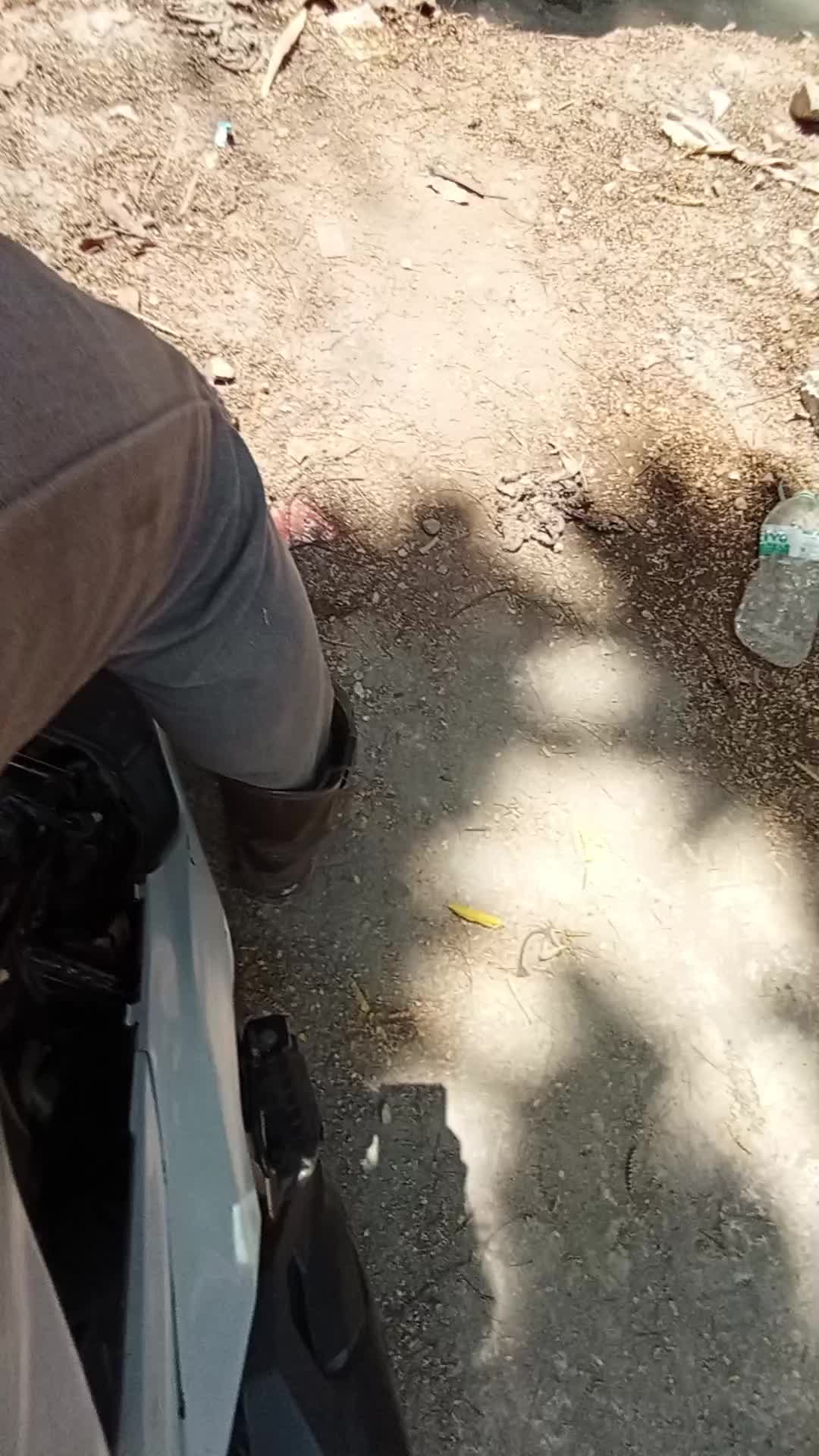 review image 7