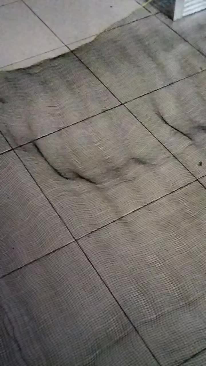 review image 5