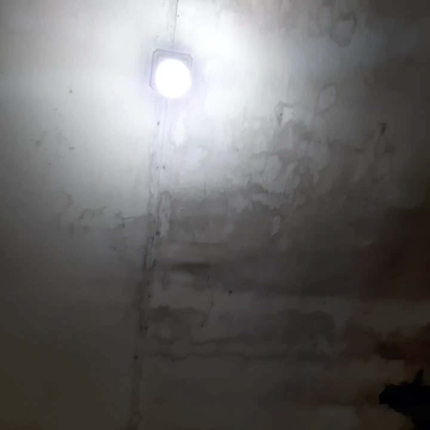 review image 7