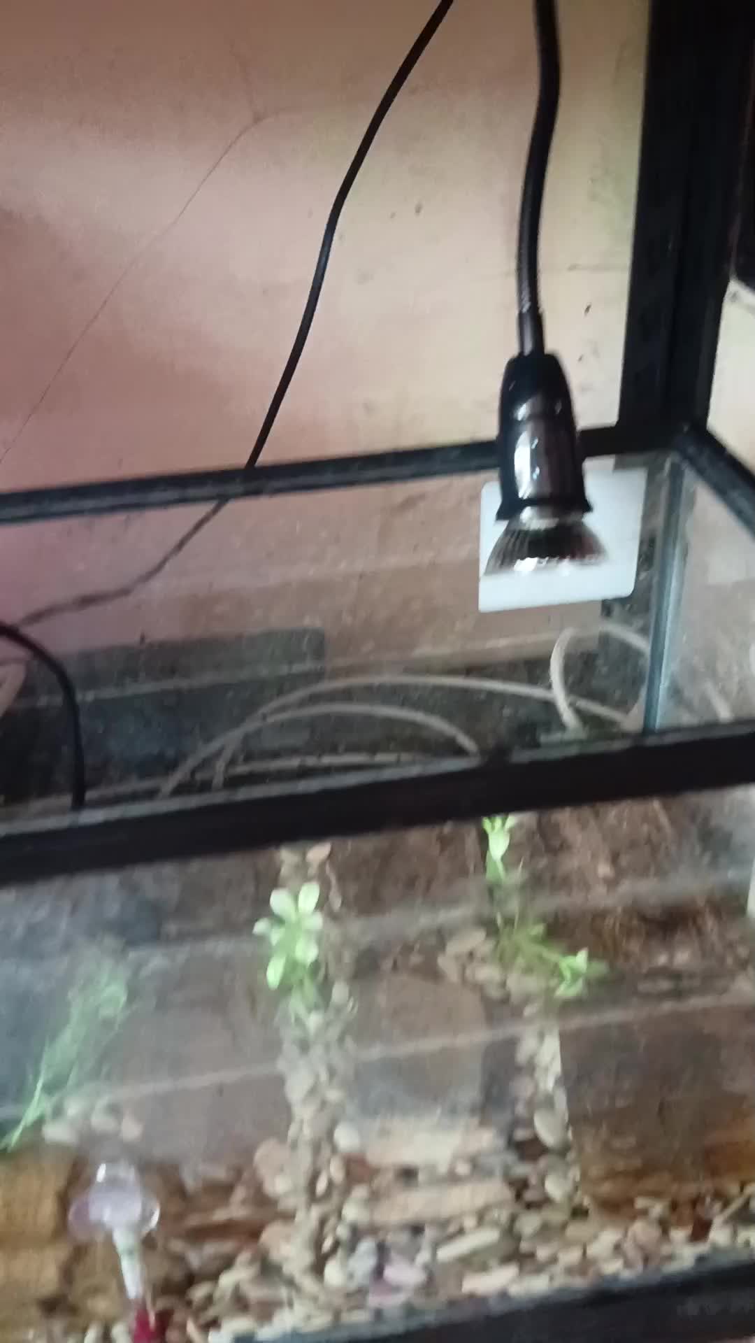 review image 7