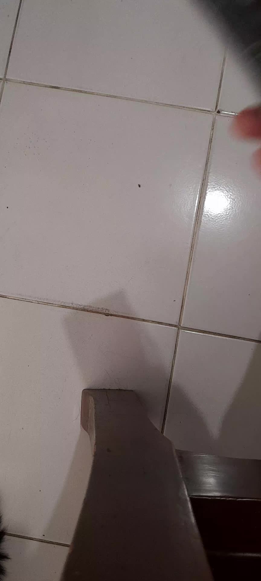 review image 6