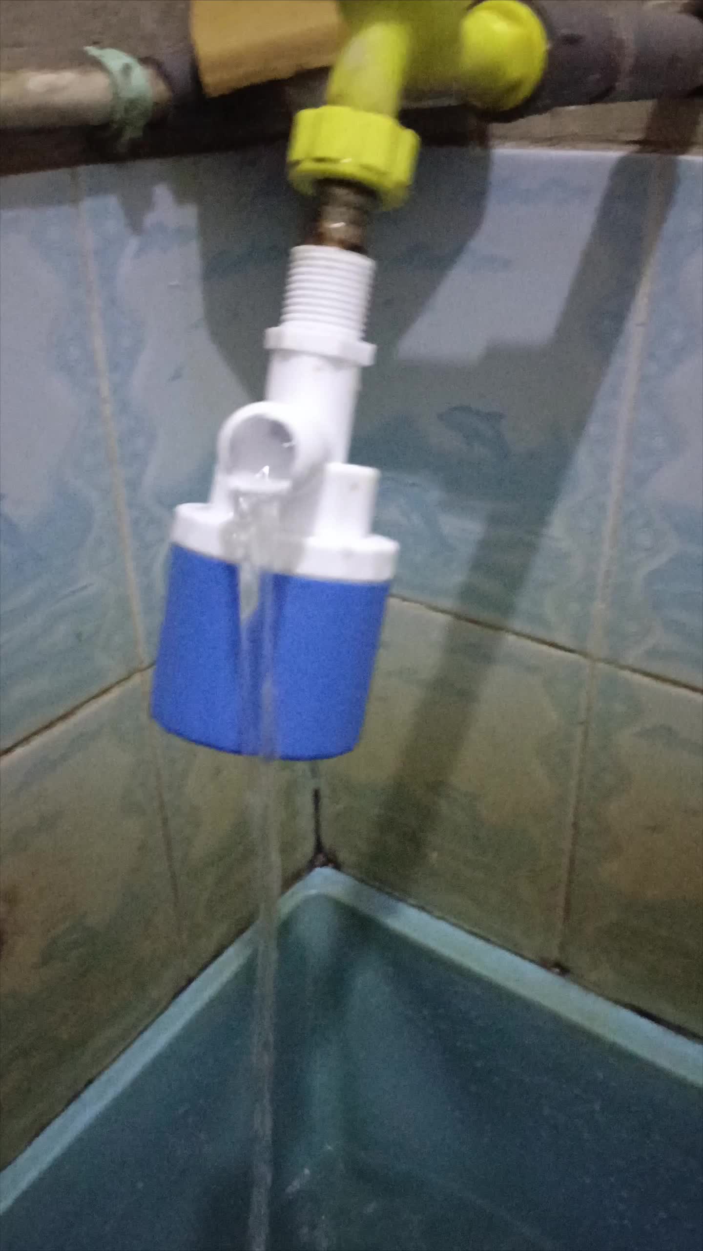 review image 1