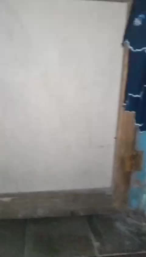 review image 9