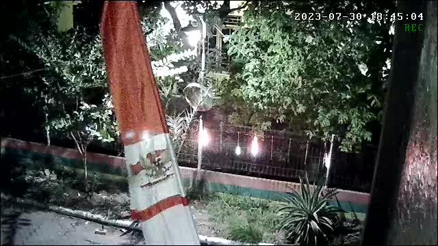review image 6