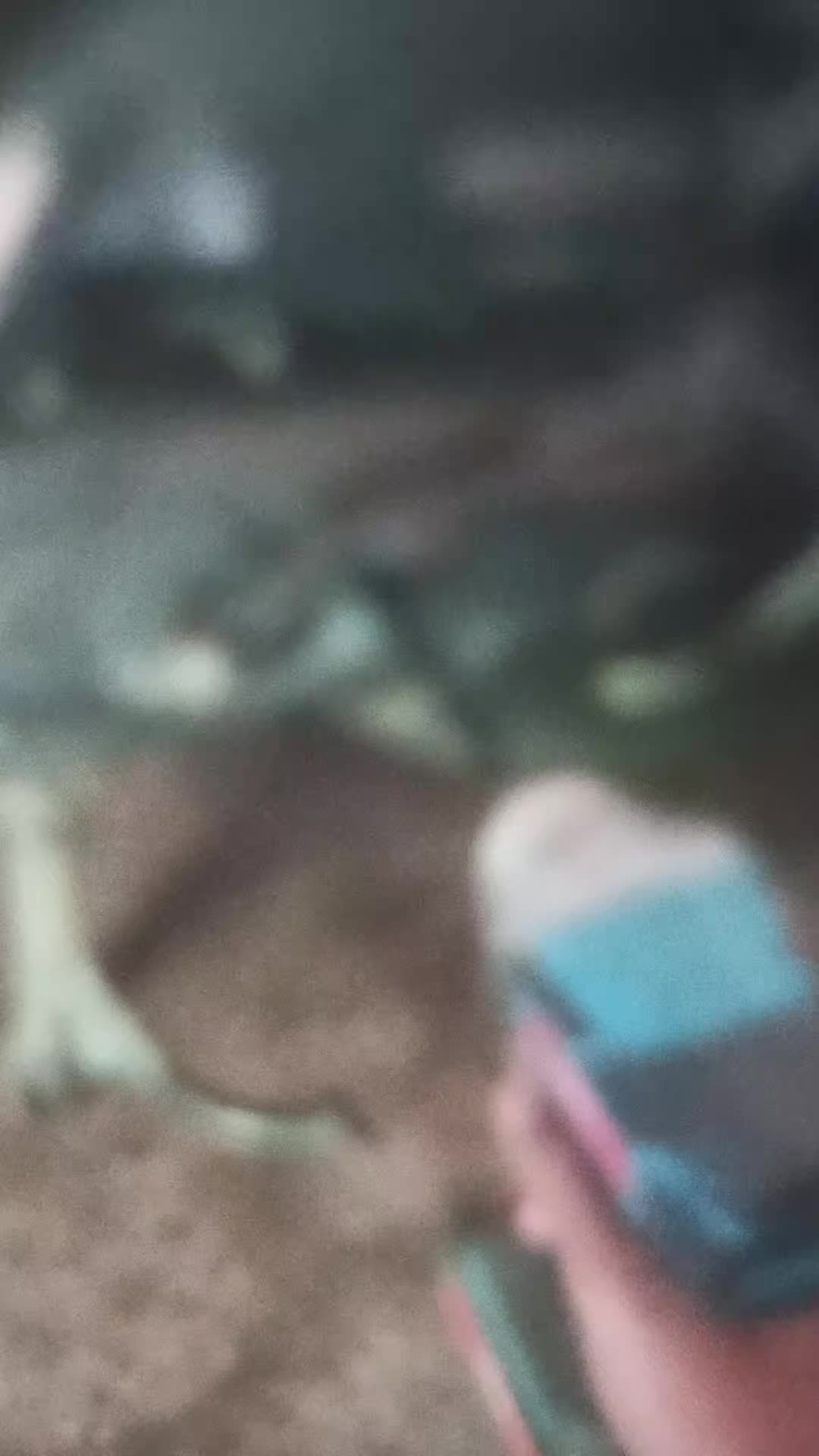 review image 8