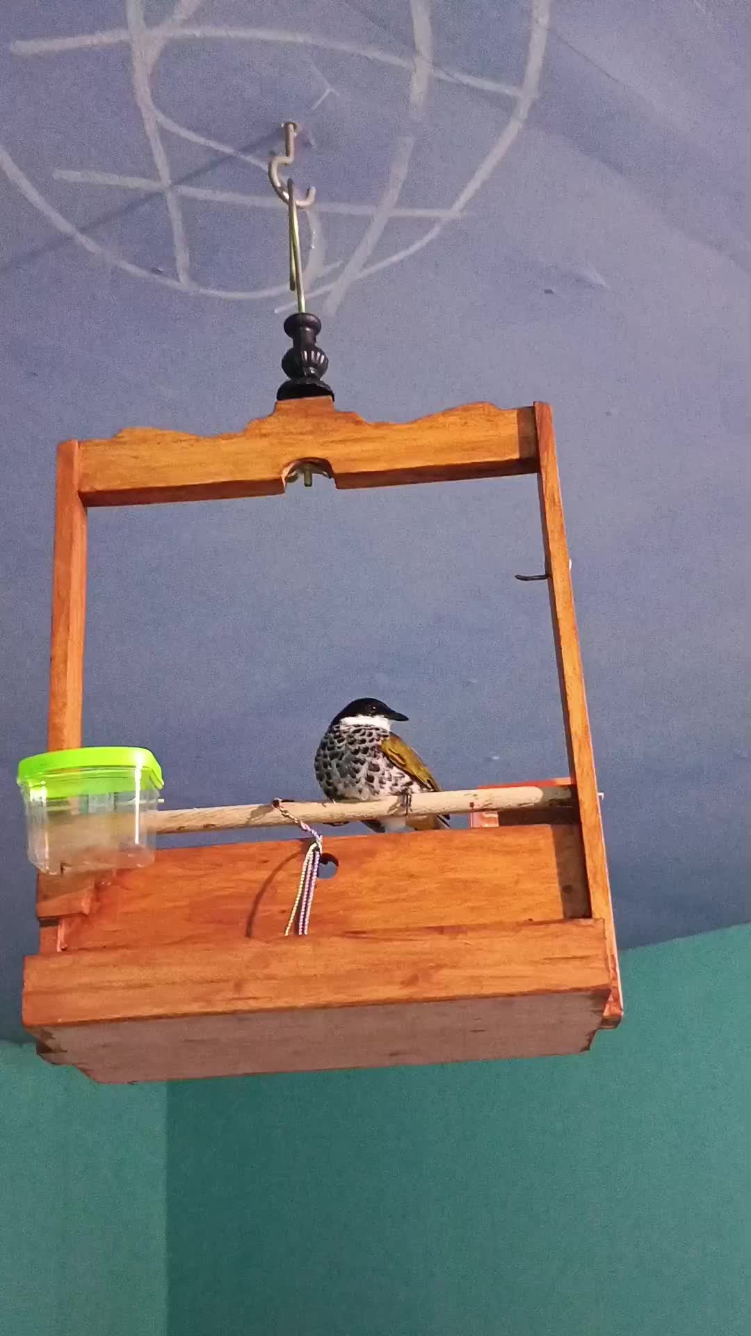 review image 4