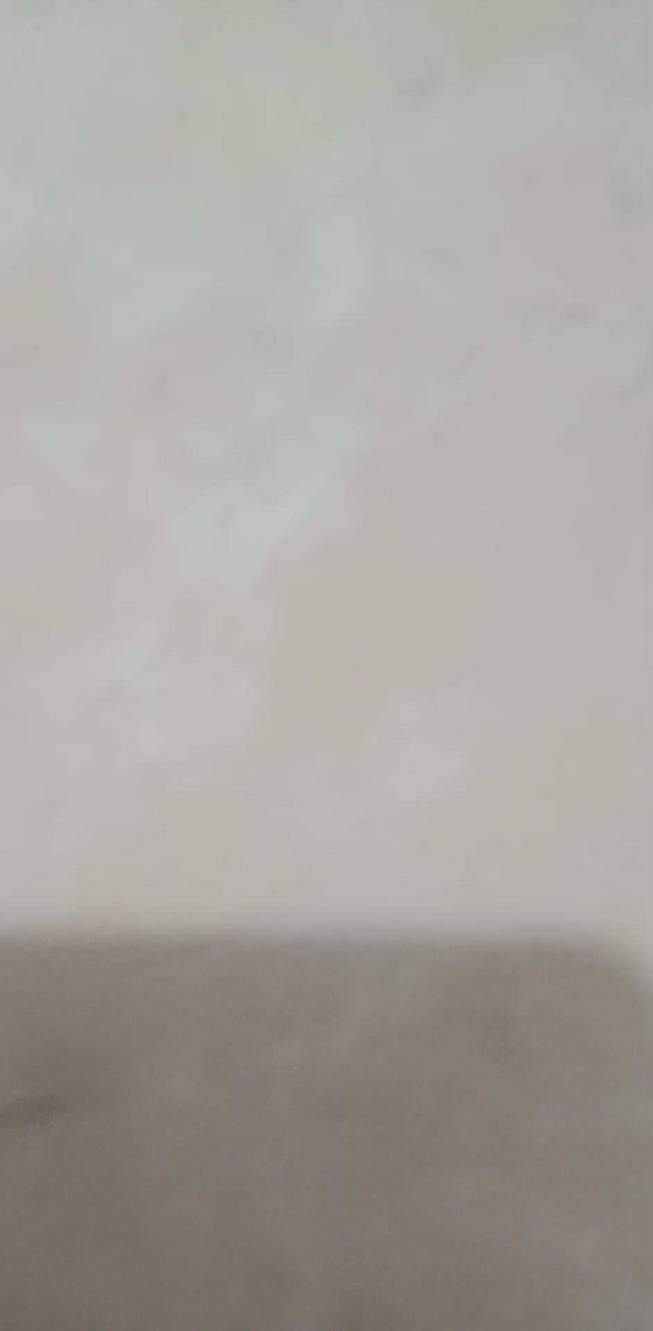 review image 3
