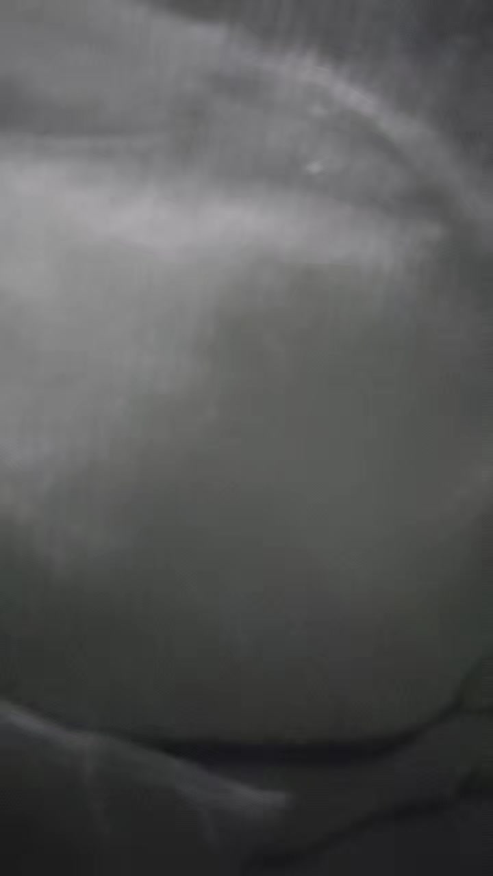 review image 9