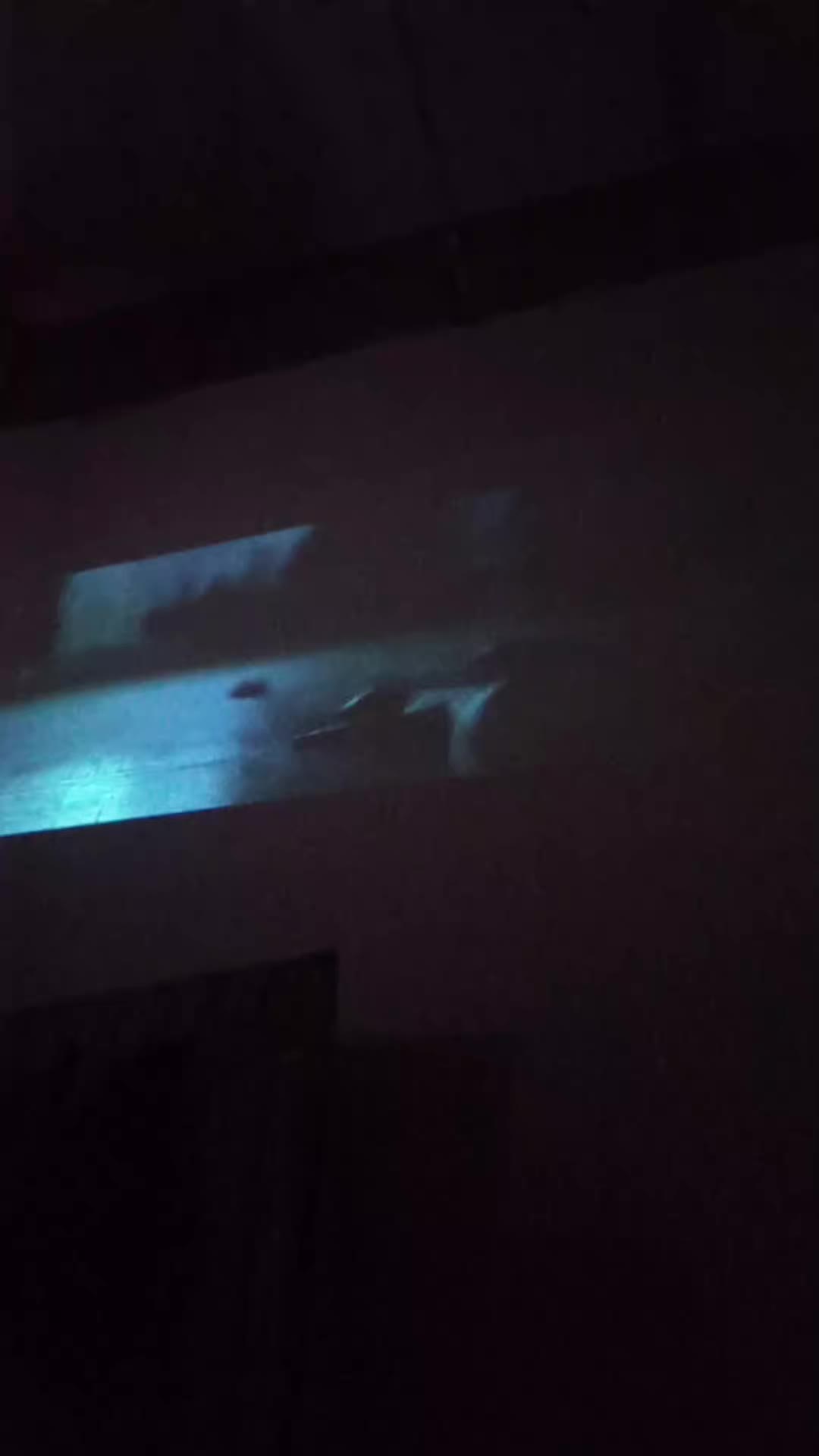 review image 3
