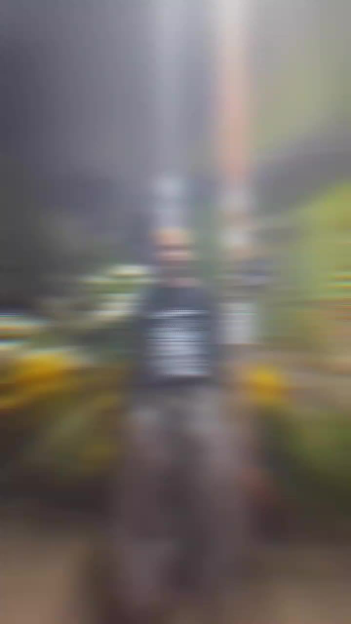 review image 2