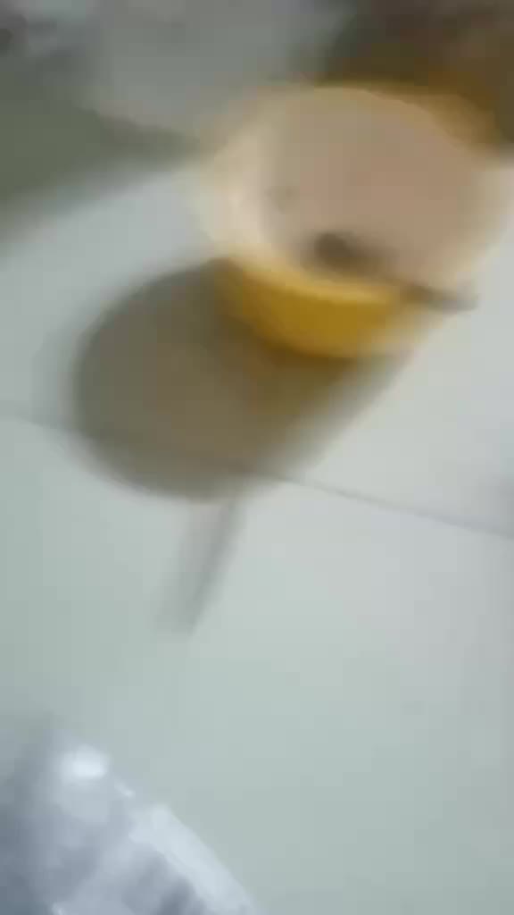review image 5