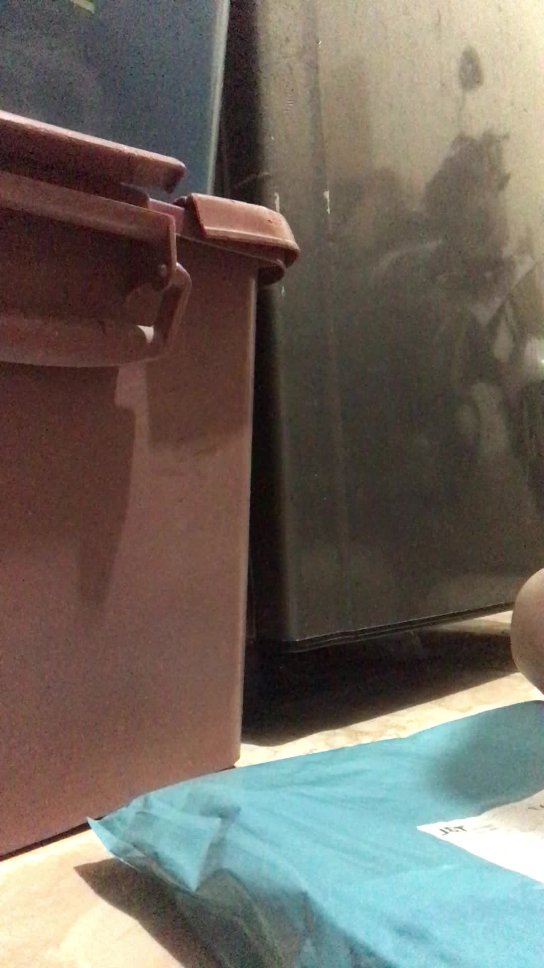 review image 4