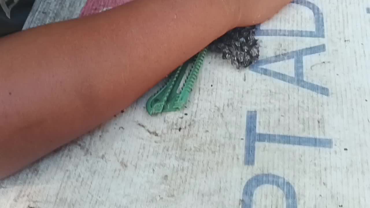 review image 7