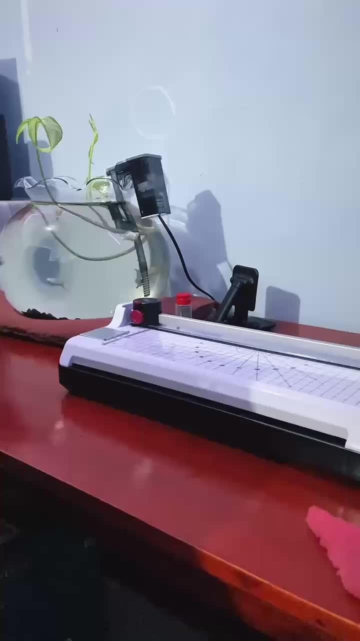 review image 3