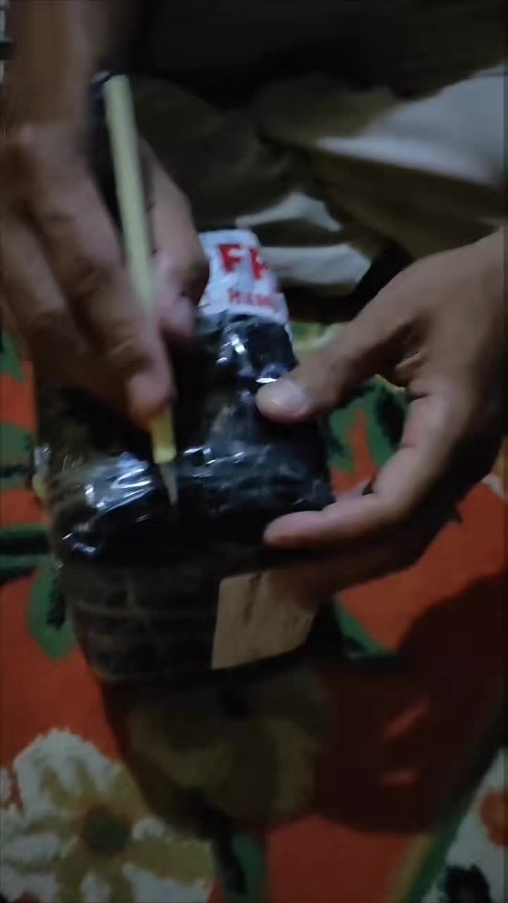 review image 4