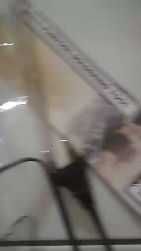 review image 7