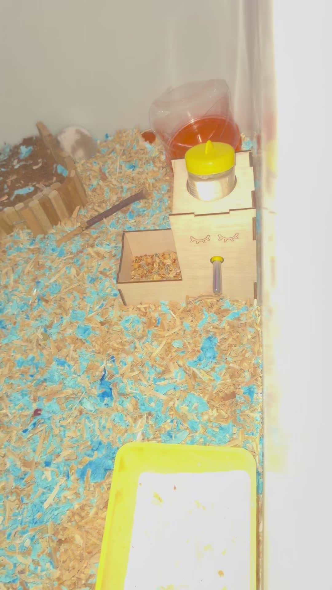 review image 1