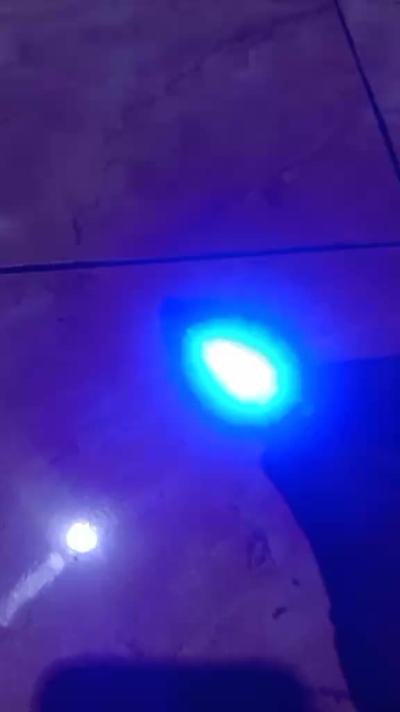review image 5
