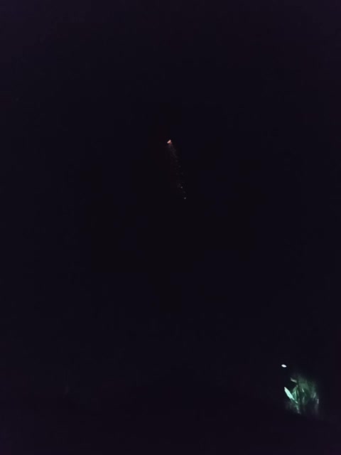 review image 3