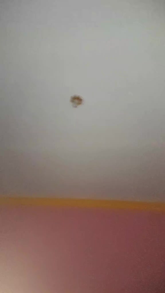 review image 6
