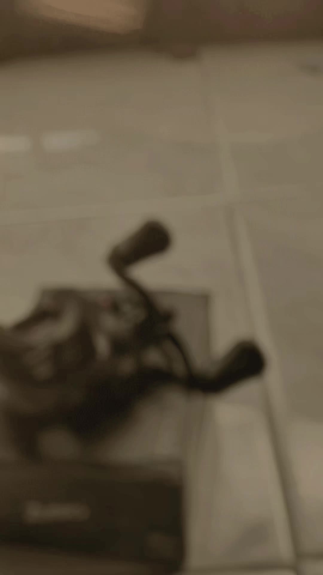 review image 8