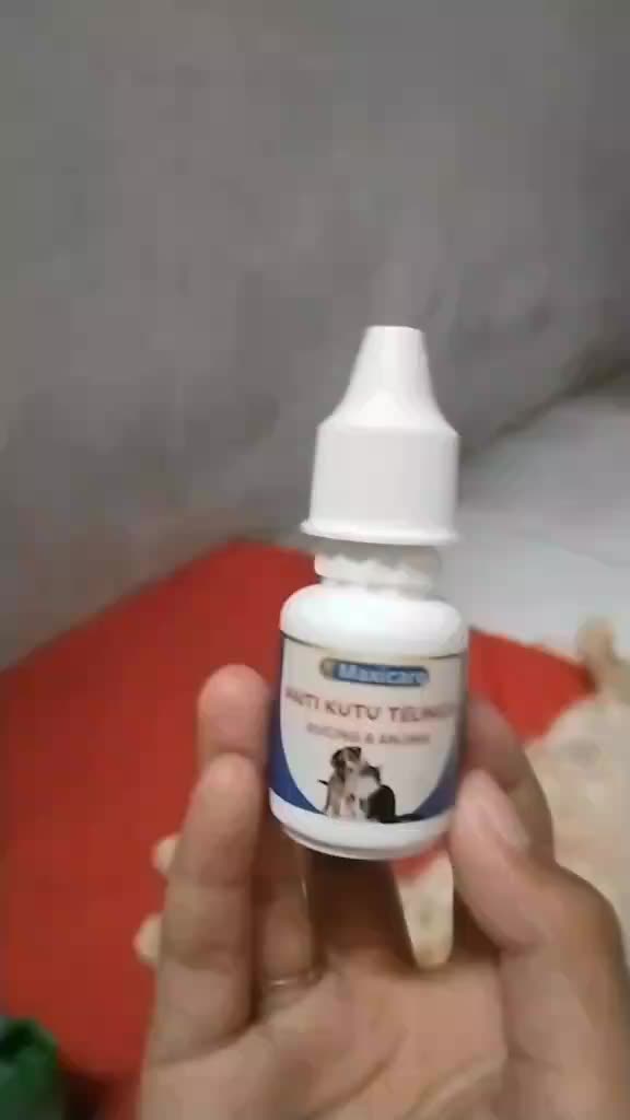 review image 2