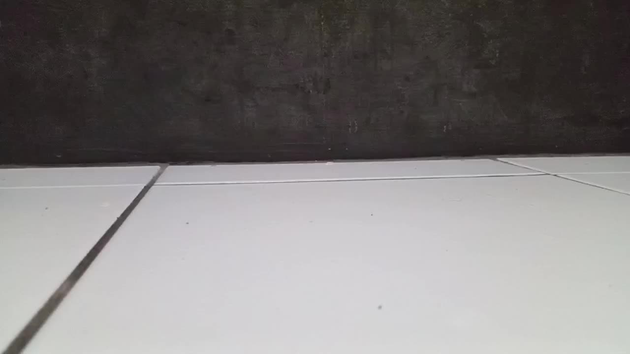 review image 12