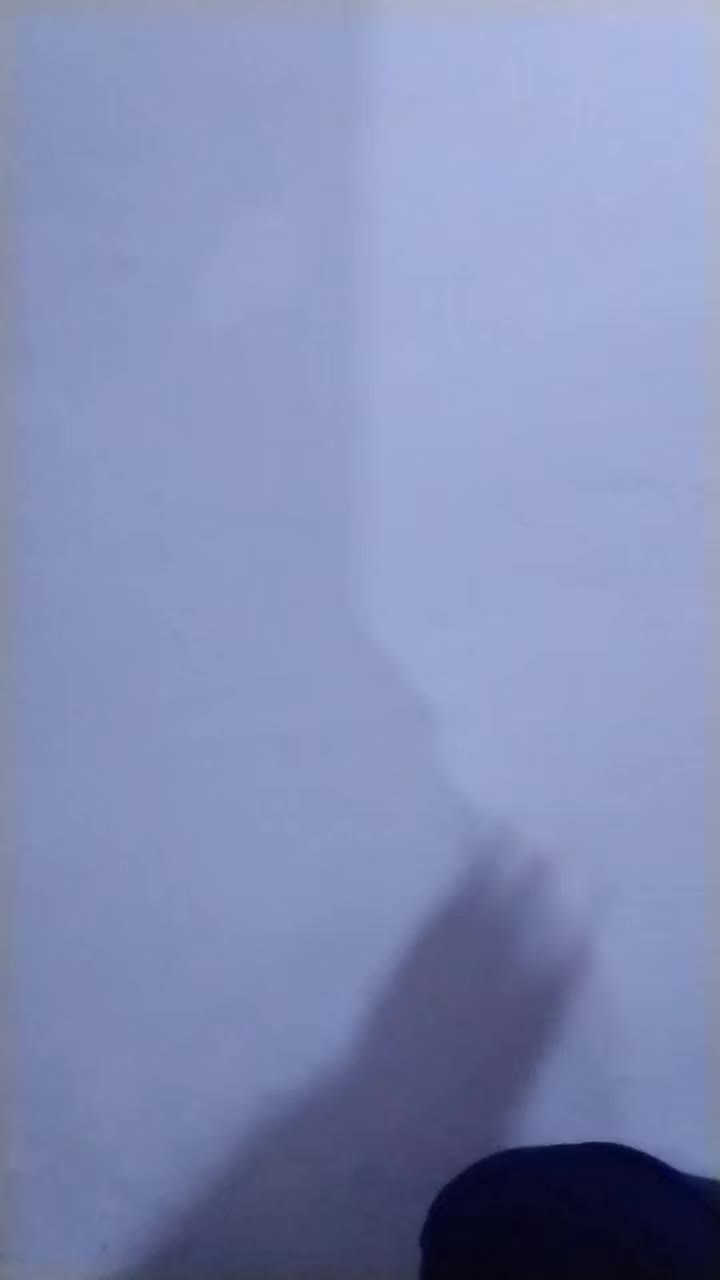 review image 11