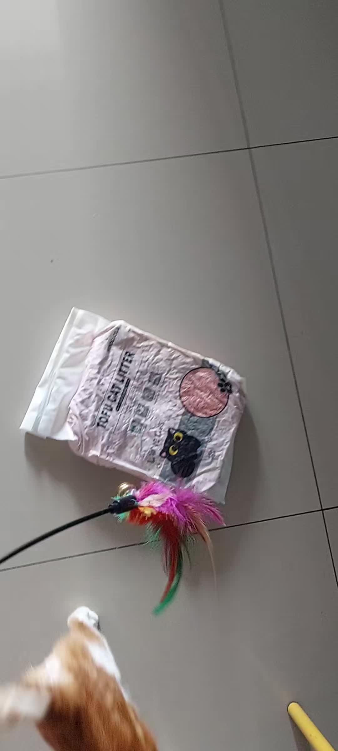 review image 11