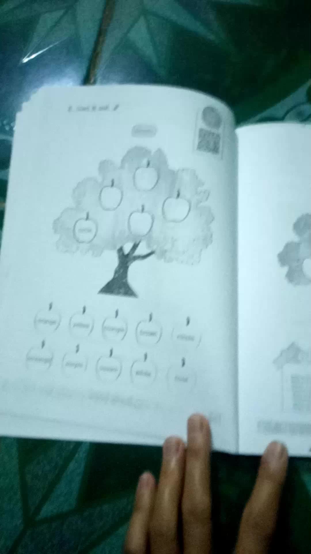 review image 5