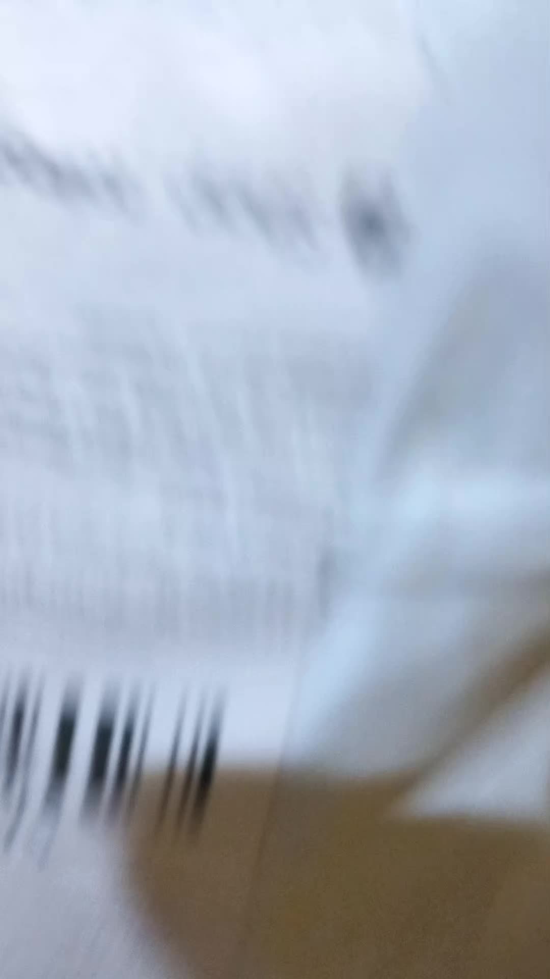 review image 7
