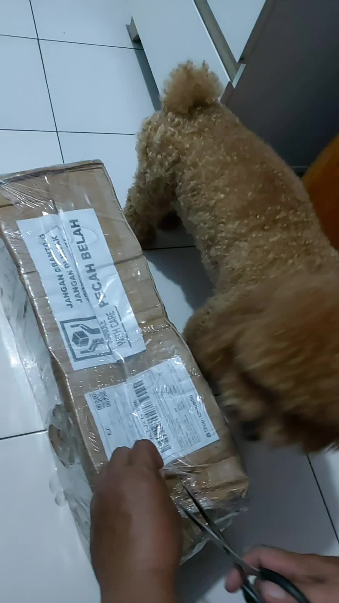 review image 8