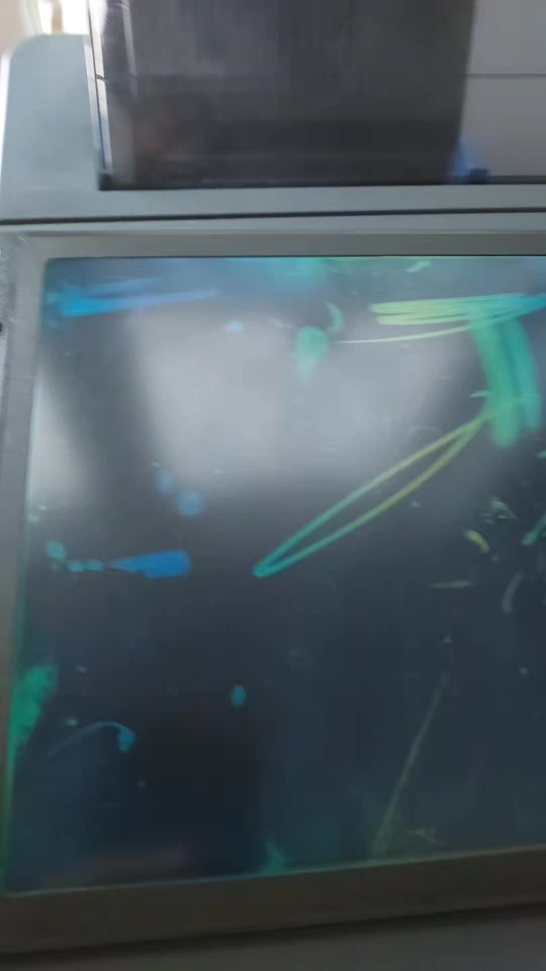 review image 5