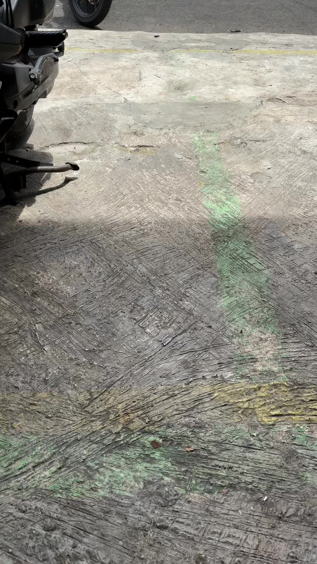 review image 5