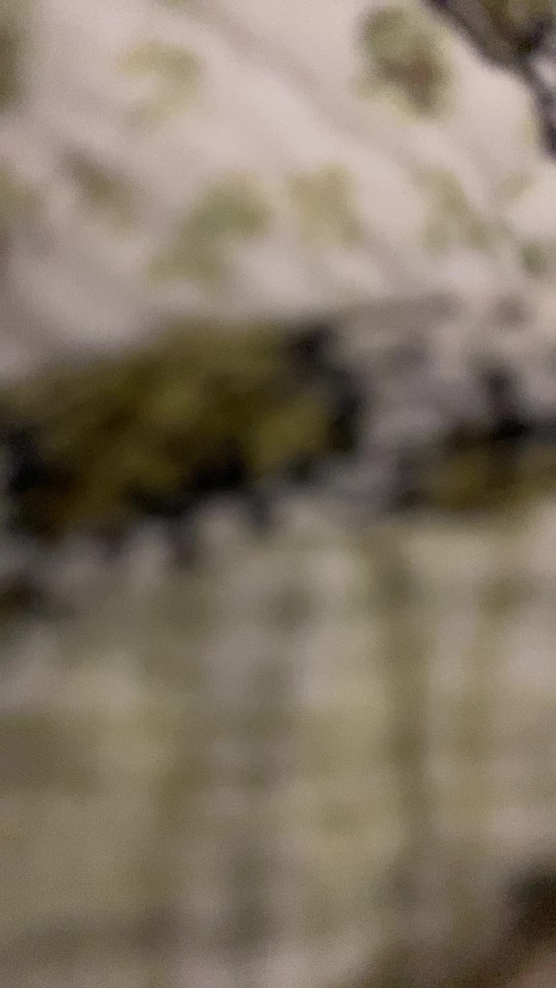 review image 6