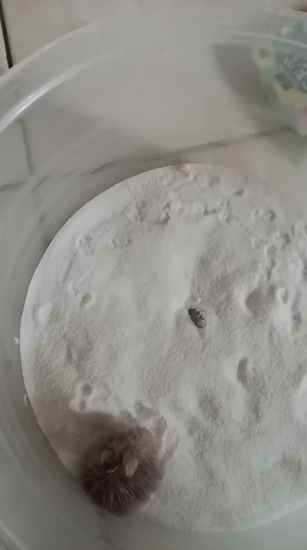 review image 9