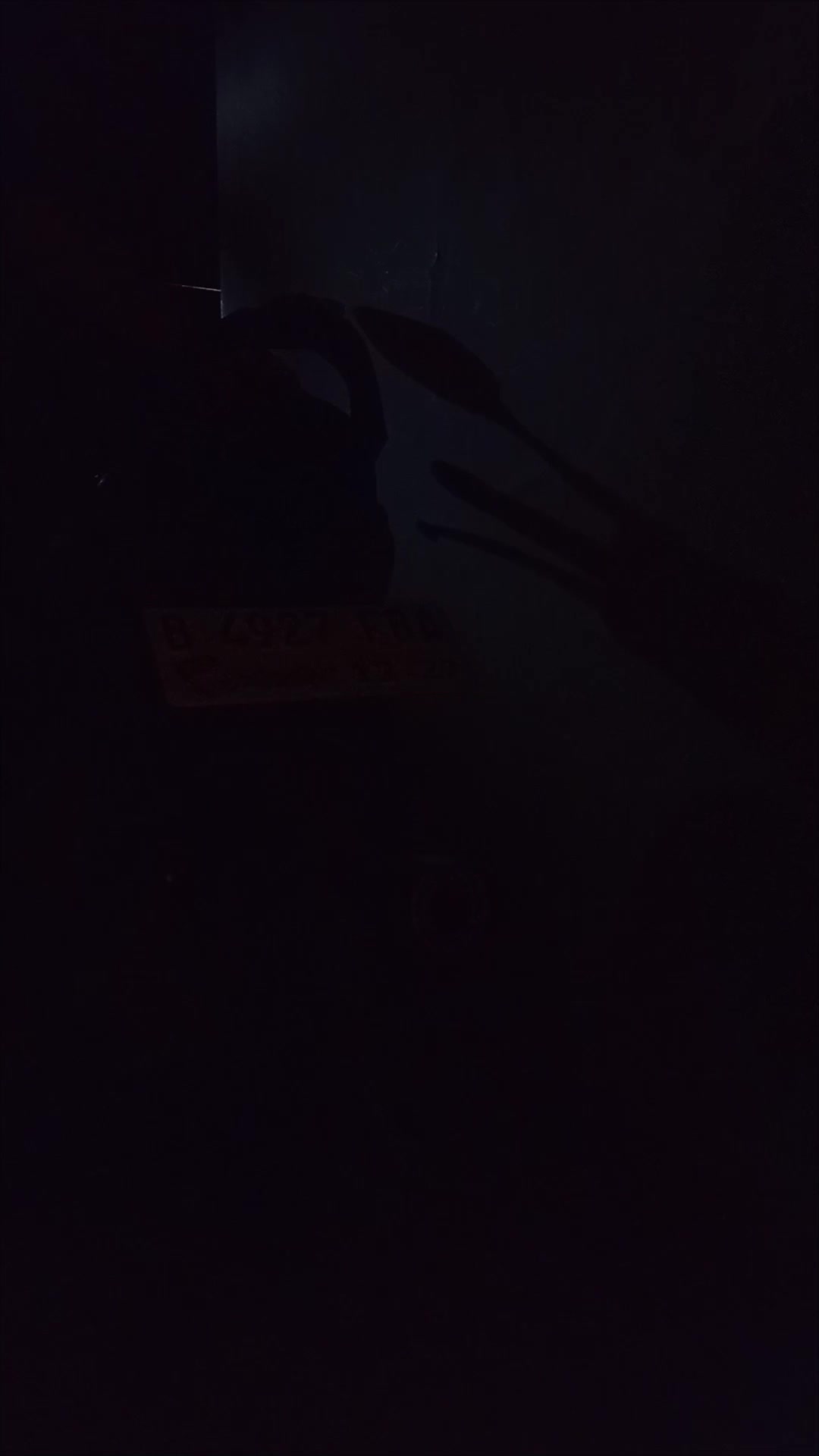review image 11
