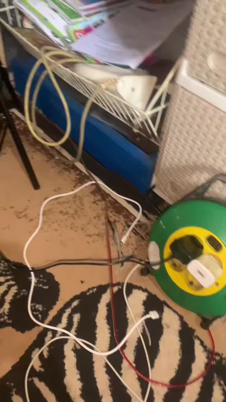 review image 5