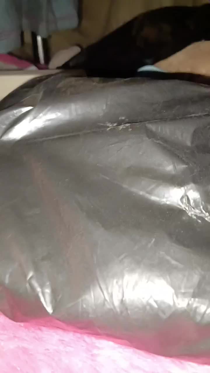 review image 8